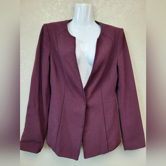 Purple Professional Blazer with Tailored Fit - Picture 1 of 3